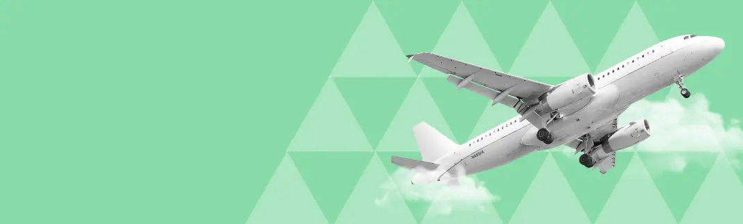 A commercial aeroplane taking off, representing the plane sub-sector.
